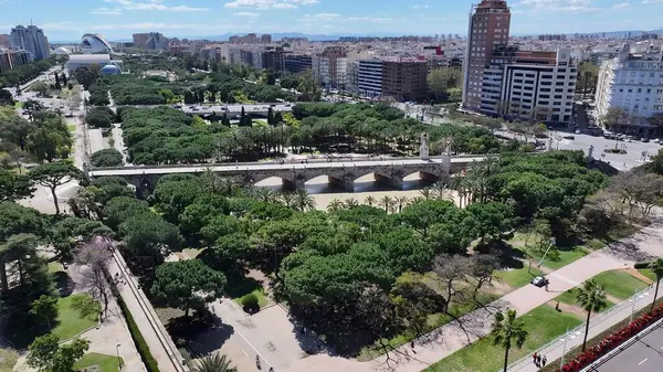 Valencia İspanya 'daki Turia Bahçeleri. Ünlü Botanik Bahçesi şehri geziyor. İş Bulutları Gökyüzü Şehir Merkezi. Panoramik Şehir. Valencia İspanya.