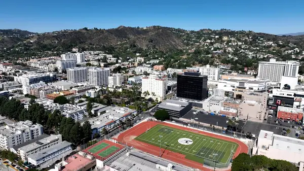 Hollywood Skyline Los Angeles 'ta Kaliforniya' da. Kuşlar, sokaklar ve binalarla çarpıcı şehir manzarasına bakıyor. Altyapı Skyline Gökdelenleri Şaşırtıcı.