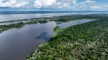 Amazon Nehri Manaus Amazonas Brezilya 'da. Amazon yağmur ormanlarında selin etkilerini yakalıyoruz. Orman Bitkisi Amazon Yeşili. Vahşi doğa Panoramik Manzara. Manaus Amazonas.