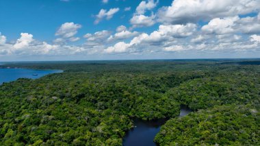 Amazon Nehri Manaus Amazonas Brezilya 'da. Nehir yemyeşil orman manzarasından akıyor. Orman Ağaçları Amazon Yeşili. Çekici Amazon Panoramik Manzarası. Manaus Amazonas.