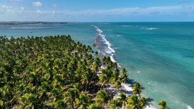Tamandare Pernambuco Brezilya 'da koyun kumsalı. Turkuaz Okyanus Dalgaları Tropik Sahile Yavaşça Çarpıyor. Sahil Bulutları Yaz mevsimi. Sahil Panorama. Tamandare Pernambuco.