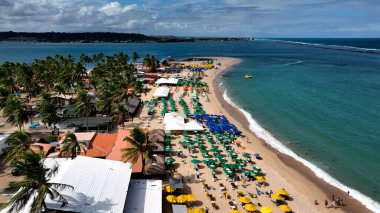 Maceio Alagoas Brezilya 'daki Gunga Plajı. Büyüleyici Tropikal Sahne Sahnesi Yukarıdan Görünüyor. Cennet Adası Skyline Idyllic Güzeli. Cennet Adası Denizi. Maceio Alagoas.
