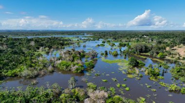 Amazon yağmur ormanları Manaus Amazonas Brezilya 'da. Amazon Nehri, yemyeşil yeşillikler ve nehir tekneleri gösteriyor. Orman Ağaçları Amazon Yeşili. Orman Denizi. Manaus Amazonas.