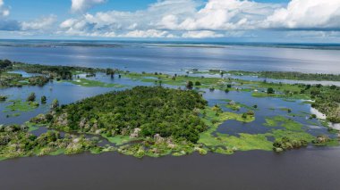 Amazon yağmur ormanları Manaus Amazonas Brezilya 'da. Amazon yağmur ormanlarında selin etkilerini yakalıyoruz. Guyana Doğa Yağmur Ormanı Gölü. Yağmur Ormanı Şehir Simgesi Ormanı. Manaus Amazonas.