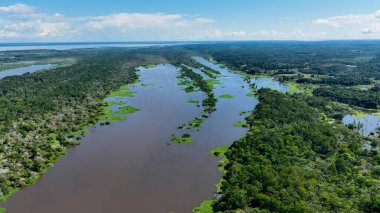 Amazon yağmur ormanları Manaus Amazonas Brezilya 'da. Amazon Yağmur Ormanları Nehir Sarmalı Yoğun Ormanı 'nı gösteriyor. Kolombiya Doğa Ormanı Peyzaj Gölü. Kolombiya Yeşil Ormanı. Manaus Amazonas.