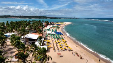 Maceio Alagoas Brezilya 'daki Gunga Plajı. Bereketli bir tropikal sahil manzarasının nefes kesici görüntüsü. Issız Manzara Cenneti Vibrant. Terk edilmiş yaz zamanı. Maceio Alagoas.