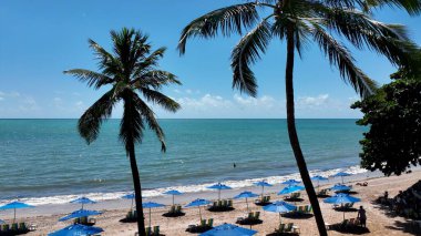 Maceio Alagoas Brezilya 'daki Pajucara Plajı. Turkuaz Okyanus Dalgaları Tropik Sahile Yavaşça Çarpıyor. Issız Manzara Cenneti Vibrant. Terk edilmiş yaz zamanı. Maceio Alagoas.