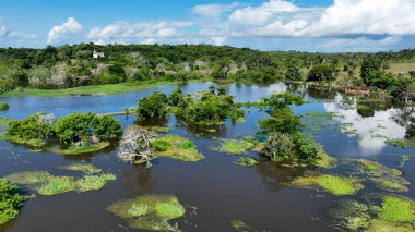 Amazon Nehri Manaus Amazonas Brezilya 'da. Sersemletici Nehir, Bereketli Tropikal Yağmur Ormanları 'ndan Geçiyor. Ekvador Nehri Ormanı Brezilya Körfezi. Ekvador Seyahati. Manaus Amazonas.