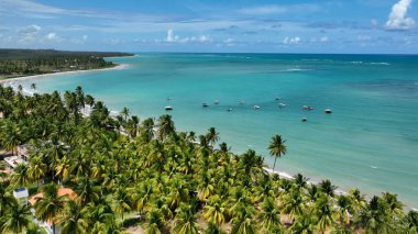 Sao Miguel Dos Milagres Alagoas Brezilya 'daki egzotik plajlar. Bereketli bir tropikal sahil manzarasının nefes kesici görüntüsü. Cennet Peyzajı Gezgin Şehveti. Cennet Sahili.