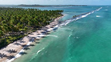 Carneiros Sahili, Tamandare Pernambuco Brezilya. Kristal berrak sularla sersemletici sahilin havadan görünüşü. Sahil Gökyüzü Sahil Kıyısı Yaz Zamanı. Seaside Beach Panoramik. Tamandare Pernambuco.