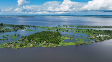 Amazon Ormanı Manaus Amazonas Brezilya 'da. Nehir yemyeşil orman manzarasından akıyor. Seyahat Bitkisi Vahşi Ormanı. Seyahat Güzel Gün Panoramik Manzarası. Manaus Amazonas.