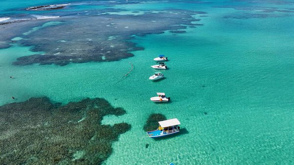 Natural Pools In Japaratinga Alagoas Brazil. Breathtaking Aerial View Of A Lush Tropical Coastline Scenery. Coast Sky Seaside Summertime. Coast Outside Beach Panoramic. Japaratinga Alagoas.