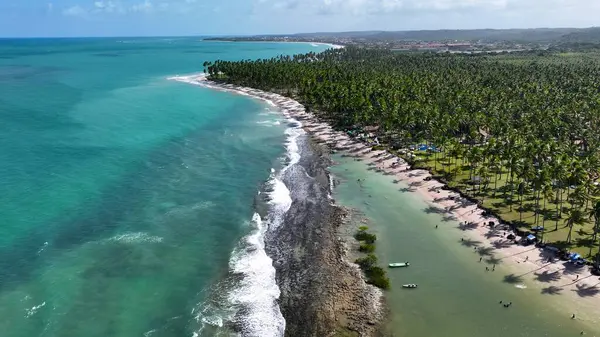 Carneiros Sahili, Tamandare Pernambuco Brezilya. Büyüleyici Tropikal Sahne Sahnesi Yukarıdan Görünüyor. Horizon Sahili Denizi kıyısında. Deniz kenarı seyahati. Tamandare Pernambuco.