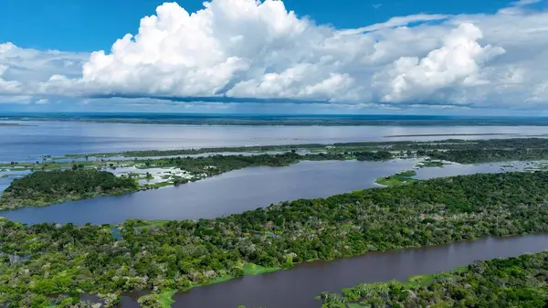 Amazon Ormanı Manaus Amazonas Brezilya 'da. Amazon Nehri, yemyeşil yeşillikler ve nehir tekneleri gösteriyor. Yaban Ormanı 'nda seyahat edin. Seyahat Güzel Gün Amazon Panoraması. Manaus Amazonas.