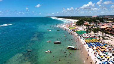 Maceio Alagoas Brezilya 'daki Fransız Plajı. Kristal berrak sularla sersemletici sahilin havadan görünüşü. Shore Clouds Plaj Denizi. Shore Panning Wide 'da. Maceio Alagoas.