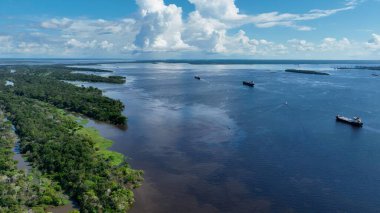 Manaus Amazonas Brezilya 'daki Amazon Ormanı. Amazon yağmur ormanlarında selin etkilerini yakalıyoruz. Seyahat Bitkisi Vahşi Ormanı. Seyahat Panoramik Manzarası. Manaus Amazonas.