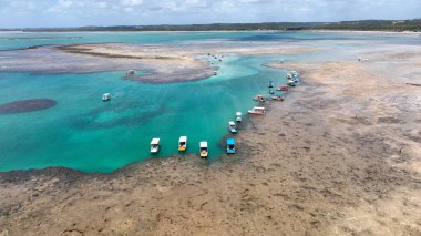 Sao Miguel Dos Milagres Alagoas Brezilya Patacho Doğa Havuzu. Yaz tatilinde harika bir sahil manzarası olan kuş bakışı. Horizon Sahil Denizi.
