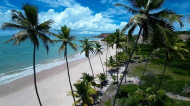 Conde Paraiba Brezilya 'daki Tabatinga Plajı. Bereketli bir tropikal sahil manzarasının nefes kesici görüntüsü. Issız Manzara Cenneti Vibrant. Terk edilmiş yaz zamanı. Conde Paraiba.