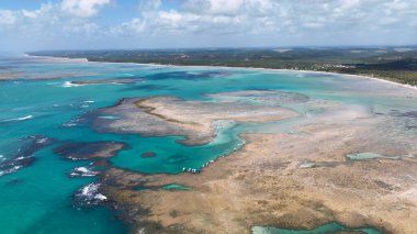 Brezilya 'nın kuzeydoğusunda Sao Miguel Dos Milagres Alagoas Brezilya' da gökyüzü. Turkuaz Okyanus Dalgaları Tropik Sahile Yavaşça Çarpıyor. Sahil Gökyüzü Sahil Kıyısı Yaz Zamanı. Sahil Sahili Panoramik.