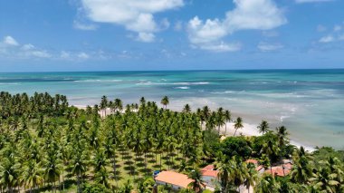 Japonya 'daki Plaj Sahnesi Alagoas Brezilya. Büyüleyici Tropikal Sahne Sahnesi Yukarıdan Görünüyor. Kıyı Bulutları Gökyüzü Sahil Denizi. Deniz kenarındaki panoramik. Japaratinga Alagoas.