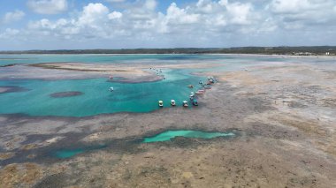 Sao Miguel Dos Milagres Alagoas Brezilya 'daki Patacho Doğal Havuzları. Turkuaz Okyanus Dalgaları Tropik Sahile Yavaşça Çarpıyor. Shore Clouds Plaj Denizi. Sahil Sahili Sahili Kıyı Hattı.