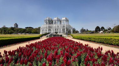 Curitiba Parana Brezilya 'daki Botanik Bahçesi. Ünlü Botanik Bahçesi şehri geziyor. Metropolitan Skyline Binaları Güzel. Bina Mimarlık Şirketi. Curitiba Parana.