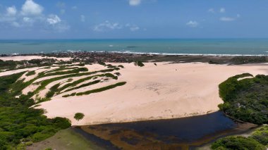 Rio Grande do Norte Brezilya 'daki Genipabu Plajı. Turkuaz Okyanus Dalgaları Tropik Sahile Yavaşça Çarpıyor. Ada Hayatı Manzarası Huzurlu Güzel. Huzurlu. Ekstremoz Rio Grande do Norte.