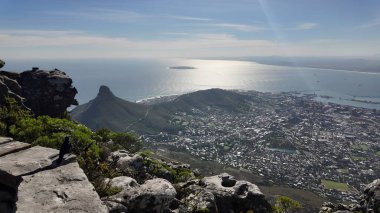 Cape Town Batı Cape Town 'da Kablo Araba Manzarası Güney Afrika. Turkuaz Okyanus Dalgaları Tropik Sahile Yavaşça Çarpıyor. İş Bulutları Gökyüzü Şehir Merkezi. Arkaplan Panoramik Şehir.