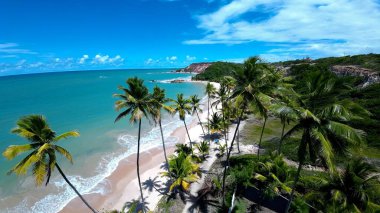 Joao Pessoa Paraiba Brezilya 'daki Tabatinga Plajı. Büyüleyici Tropikal Sahne Sahnesi Yukarıdan Görünüyor. Cennet Peyzajı Gezgin Şehveti. Cennet Sahili. Joao Pessoa Paraiba.