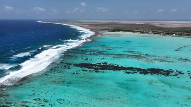 Kralendijk Bonaire Hollanda 'daki Sorobon Plajı Antilleri. Birds 'ün Karayip Sahili Manzarası. Issız Manzara Cenneti Vibrant. Terk edilmiş yaz zamanı. Kralendijk Bonaire.