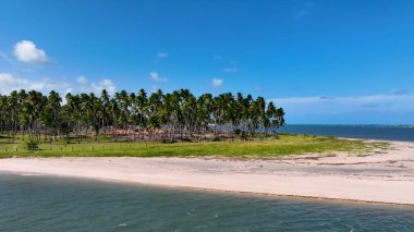Brezilya 'nın kuzeydoğusunda Tamandare Pernambuco Brezilya' da Skyline. Büyüleyici Tropikal Sahne Sahnesi Yukarıdan Görünüyor. Cennet Adası Manzarası Minnettar Güzel. Yaz Zamanı Minnettar Kıyı.