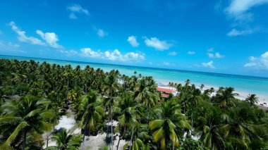 Maragogi Alagoas Brezilya 'daki Antunes Plajı. Turkuaz Okyanus Dalgaları Tropik Sahile Yavaşça Çarpıyor. Cennet Peyzajı Gezgin Şehveti. Cennet Sahili. Maragogi Alagoas.