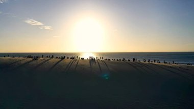 Jericoacoara Ceara Brezilya 'da Sunset Plajı. Büyüleyici Tropikal Sahne Sahnesi Yukarıdan Görünüyor. Günbatımı Cennet Manzarası Huzurlu Muhteşem. Huzurlu Rıhtım Kıyısı. Jericoacoara Ceara.