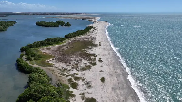 Brezilya 'nın Piaui şehrinde, Cajueiro Da Praia' daki Barra Grande Plajı. Plaj manzarası. Doğa Deniz Burnu. Tatil Varış Yeri. Brezilya 'nın Piaui şehrinde, Cajueiro Da Praia' daki Barra Grande Plajı. Yaz Seyahati.