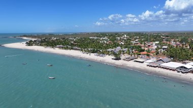 Brezilya 'nın Piaui şehrinde, Kajueiro Da Praia' daki Barra Grande Köyü. Sahil Skyline. Doğa manzarası. Yaz Gezisi. Brezilya 'nın Piaui şehrinde, Kajueiro Da Praia' daki Barra Grande Köyü. Tropikal Manzara.