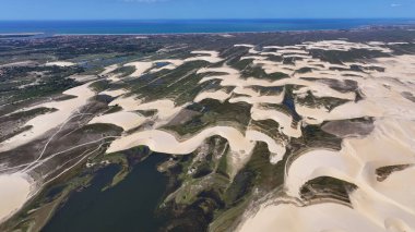 Piaui Brezilya 'daki Luis Correia' da Lencois Piauienses. Doğa manzarası. Kıvrımlı kum tepeleri. Lencois Piauiens Luis Correia 'da. Yağmur suyu gölleri. Portinho Gölü. Yaz Gezisi. Brezilya Kuzeydoğu.