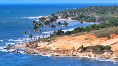 Ceara Brezilya 'daki Paraipaba' daki Lagoinha Plajı. Sahil Skyline. Doğa manzarası. Yaz Gezisi. Ceara Brezilya 'daki Paraipaba' daki Lagoinha Plajı. Tropikal Manzara.