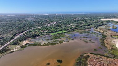 Piaui Brezilya 'daki Parnaiba' da yağmur ormanı gökyüzü. Parnaiba Delta Peyzajı. Mangrove Skyline 'da. Piaui Brezilya 'daki Parnaiba' da yağmur ormanı gökyüzü. Amerika 'nın Safari Deltası. Delta Bataklığı.