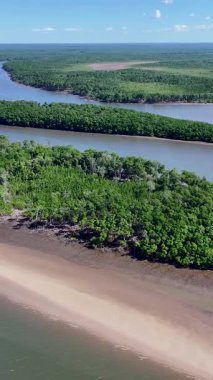Parnaiba Delta Piaui Brezilya 'da Parnaiba' da. Sarmal Nehir. Doğa Manzarası. Piaui 'de Parnaiba Delta. Amerika 'nın Brezilya Deltası. Plaj manzarası. Tatil seyahatleri. Brezilya Kuzeydoğu.