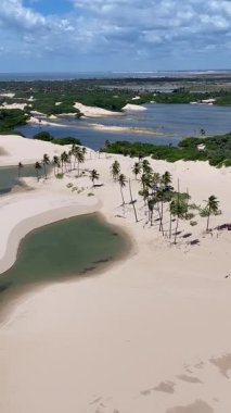Lencois Maranhenses Tutoia, Brezilya 'da. Doğa Küçük Çarşafları. Manzaralı Palmiye Ağaçları. Lencois Maranhenses Tutoia 'da. Kıvrımlı kum tepeleri. Yağmur suyu gölleri. Tropik seyahat. Brezilya Kuzeydoğu.