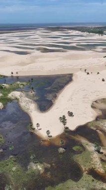 Maranhao Brezilya 'daki Tutoia' da küçük çarşaflar. Doğa manzarası. Kıvrımlı kum tepeleri. Tutoia 'da küçük çarşaflar. Yağmur suyu gölleri. Güzel Yüksek Kumullar. Yaz Gezisi. Brezilya Kuzeydoğu.