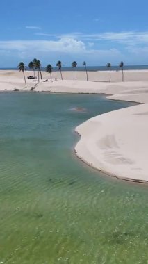 Maranhao Brezilya 'daki Tutoia' da küçük çarşaflar. Doğa manzarası. Kıvrımlı kum tepeleri. Tutoia 'da küçük çarşaflar. Yağmur suyu gölleri. Güzel Yüksek Kumullar. Yaz Gezisi. Brezilya Kuzeydoğu.
