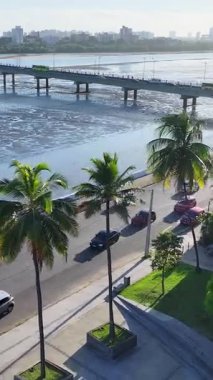 Jose Sarney Köprüsü 'nde gün batımı Maranhao Brezilya' da Sao Luis 'de. Anil Nehri Sahnesi. Jose Sarney Köprüsü. Jose Sarney Köprüsü, Sao Luis, Maranhao Brezilya. Manzaralı Günbatımı. Turizm Seyahati. Brezilya Kuzeydoğu