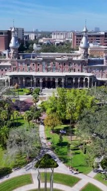 Tampa, Florida 'daki Henry Bitki Müzesi. Şehir merkezindeki şehir manzarası. Tampa Körfezi Arkaplanı. Florida 'daki Henry Bitki Müzesi. High Rise Binaları. İş Bölgesi.