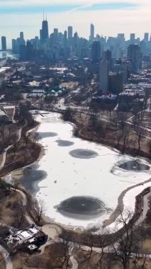 Chicago Skyline Illinois 'de Chicago' da. Şehir merkezinde. Highrise Binaları Peyzajı. Illinois 'de Chicago Skyline. Lincoln Park Havacılık Manzarası. Çarpıcı Kış Arkaplanı.