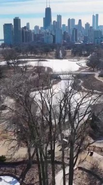 Illinois, Chicago 'daki Lincoln Parkı. Şehir merkezinde. Eğlence Parkı Peyzajı. Illinois 'deki Lincoln Parkı. Metropolitan Bölgesi. Kış Manzarası.