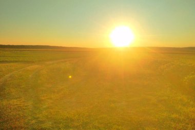 Kırsal alan. Olgunlaşan buğday tarlası ve güneş ışığının arka planı. Ekin tarlası. Seçici odaklanma. Alan manzarası.