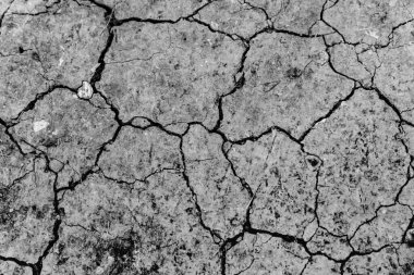 Topraklar yağmur ve iklim değişikliğinden dolayı kurudur..