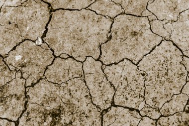 Topraklar yağmur ve iklim değişikliğinden dolayı kurudur..