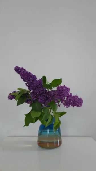 Açık gri duvarlı beyaz bir masada çiçek açan mor leylak dallı mavi ve sarı cam vazo. Küçük bir leylak çiçeği buketin altında yatıyor. Minimalist bahar dekorasyon fotoğrafı. Dikey fotoğraf.. 